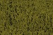 Moss Green Coarse
